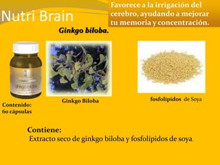 Nutri Brain
Favorece a la irrigación del
cerebro, ayudando a mejorar
tu memoria y concentración.
Contenido:
60 cápsulas
Contiene:
Extracto seco de ginkgo biloba y fosfolípidos de soya.
Ginkgo biloba.
Ginkgo Biloba fosfolípidos de Soya
 