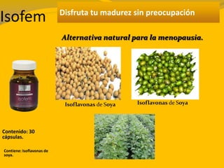 Disfruta tu madurez sin preocupación
Alternativa natural para la menopausia.
Isofem
Contenido: 30
cápsulas.
Contiene: Isoflavonas de
soya.
Isoflavonas de SoyaIsoflavonas de Soya
 