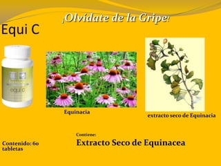 Equi C
Contenido: 60
tabletas
Contiene:
Extracto Seco de Equinacea
¡Olvídate de la Gripe!
Equinacia
extracto seco de Equinacia
 