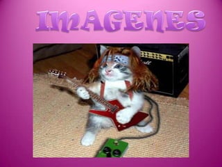  IMAGENES
