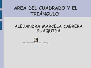 AREA DEL CUADRADO Y EL TRIÁNGULO  ALEJANDRA MARCELA CABRERA GUAQUIDA 