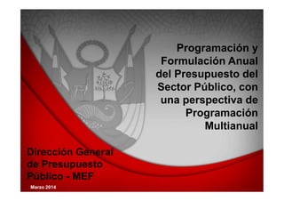 Dirección General 
de Presupuesto 
Público - MEF 
Programación y 
Formulación Anual 
del Presupuesto del 
Sector Público, con 
una perspectiva de 
Programación 
Multianual 
Marzo 2014 
 