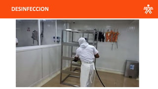 DESINFECCION
 