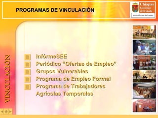 PROGRAMAS DE VINCULACIÓN InfórmeSEE Periódico “Ofertas de Empleo” Grupos Vulnerables Programa de Empleo Formal Programa de Trabajadores  Agrícolas Temporales VINCULACIÓN 