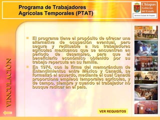 El programa tiene el propósito de ofrecer una alternativa de ocupación eventual, pero segura y redituable a los trabajadores agrícolas mexicanos que se encuentren en periodo de desempleo, para que el beneficiario económico obtenido por su trabajo repercuta en su familia. En 1974, con la firma del memorándum de Entendimientos entre México y Canadá, se formalizó el acuerdo, mediante el cual Canadá proporciona empleos temporales agrícolas, y de campo, siempre y cuando el trabajador no busque radicar en el país. Programa de Trabajadores Agrícolas Temporales (PTAT) VINCULACIÓN VER REQUISITOS 