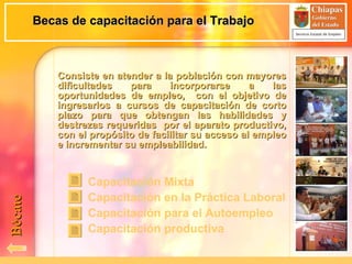 Becas de capacitación para el Trabajo Consiste en atender a la población con mayores dificultades para incorporarse a las oportunidades de empleo,  con el objetivo de ingresarlos a cursos de capacitación de corto plazo para que obtengan las habilidades y destrezas requeridas  por el aparato productivo, con el propósito de facilitar su acceso al empleo e incrementar su empleabilidad. Bécate Capacitación Mixta Capacitación en la Práctica Laboral Capacitación para el Autoempleo Capacitación productiva 
