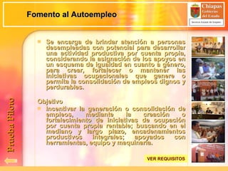 Fomento al Autoempleo Se encarga de brindar atención a personas desempleadas con potencial para desarrollar una actividad productiva por cuenta propia, considerando la asignación de los apoyos en un esquema de igualdad en cuanto a género, para crear, fortalecer o mantener las iniciativas ocupacionales que genere o permita la consolidación de empleos dignos y perdurables. Objetivo Incentivar la generación o consolidación de empleos, mediante la creación o fortalecimiento de iniciativas de ocupación por cuenta propia rentable; buscando en el mediano y largo plazo, encadenamientos productivos integrales; apoyados con herramientas, equipo y maquinaria. Prueba Piloto VER REQUISITOS 