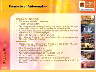 Fomento al Autoempleo Criterios de   eligibilidad : Ser de nacionalidad mexicana. Tener 16 años o más Ser desempleado o subempleado con interés y potencial para desarrollar una actividad productiva por cuenta propia. Comprometer recursos propios en la ejecución de la iniciativa de ocupación por cuenta propia. No recibir apoyos e otros programas. No haber recibido apoyos económicos de otro programa del Servicio Estatal de Empleo. Requisitos: Solicitud de apoyo financiero dirigido a la Lic. Esther Almazán Torres, Directora General del SEE. Una fotografía actualizada. Identificación oficial con fotografía. Clave Única de Registro de Población (CURP) Comprobante de domicilio actualizado. Constancia de experiencia en la actividad productiva. Cotización en hoja membretada de la maquinaría y equipo a financiar. Prueba Piloto 