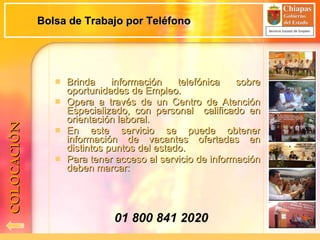 Bolsa de Trabajo por Teléfono Brinda información telefónica sobre oportunidades de Empleo. Opera a través de un Centro de Atención Especializado, con personal  calificado en orientación laboral. En este servicio se puede obtener información de vacantes ofertadas en distintos puntos del estado. Para tener acceso al servicio de información deben marcar: 01 800 841 2020 COLOCACIÓN 