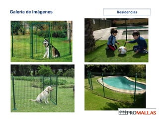 Galería de Imágenes   Residencias
 