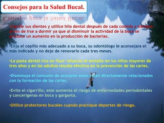 Consejos para la Salud Bucal.Cepille sus dientes y utilice hilo dental después de cada comida y siempre antes de irse a dormir ya que al disminuir la actividad de la boca se produce un aumento en la producción de bacterias. 