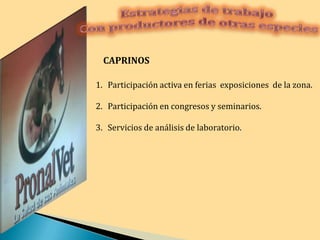 Estrategias de trabajo Con productores de otras especiesCAPRINOSParticipación activa en ferias  exposiciones  de la zona.Participación en congresos y seminarios.Servicios de análisis de laboratorio. 