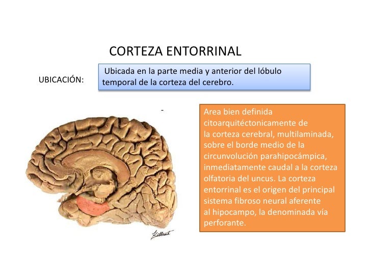 Presentacion prope