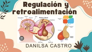 Regulación y
retroalimentación
DANILSA CASTRO
 