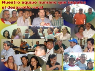 Presentacion prosalafa 2011