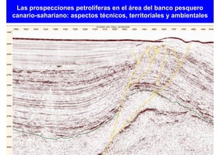 Las prospecciones petrolíferas en el área del banco pesquero
canario-sahariano: aspectos técnicos, territoriales y ambientales
 