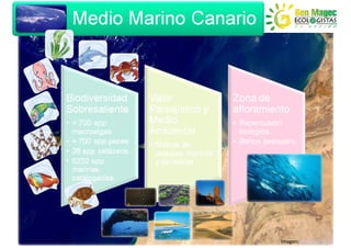 Imagen: World of Stock
 