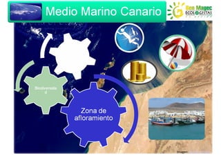 Imagen: World of Stock
 