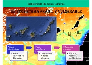 Santuario de las costas Canarias

   UN ECOSISTEMA FRÁGIL Y VULNERABLE
                 FRÁ




                            Imagen: CalypsoAtlantico




Aguas                     Poca                         Influencias
oligotróficas             plataforma                   marinas
                          continental                  diversas
    • Poca                    • Concentració                • Africana,
      cantidad de               n de los                      Atlántica,
      biomasa.                  biotopos.                     Mediterránea
                                                              .
 