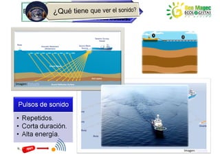 Imagen: Fishsafe




                   Imagen: Fishsafe
 