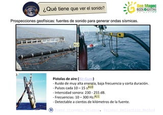 Prospecciones geofísicas: fuentes de sonido para generar ondas sísmicas.

            Actividad                                  Decibelios
            Sonidos naturales                          50 – 85
            Tráfico de embarcaciones
                                   A12                 90
            Sónares       f(frecuencia)                150 – 235
            Pistolas de aire (Air – Guns)              230 – 255
            20 Kg de TNT                               279



                        Pistolas de aire (Air-Guns)
                        - Ruido de muy alta energía, baja frecuencia y corta duración.
                        - Pulsos cada 10 – 15 s.A10
                        - Intensidad sonora: 230 - 255 dB.
                        - Frecuencias: 10 – 300 Hz.A11
                        - Detectable a cientos de kilómetros de la fuente.

                         Towed Streamer Seismic, Seismic Reflection Method
 