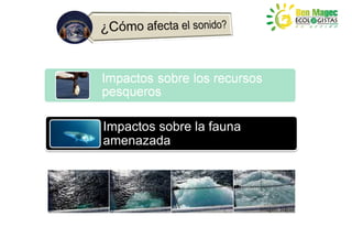 Impactos sobre la fauna
amenazada




                          Imagen: Statoil
 