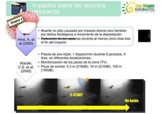 • Muerte no sólo causada por impacto directo sino también
                 por daños fisiológicos e incremento de la depredación.
Hirst, A. et   • Reducción de las capturas durante al menos cinco días tras
al (2000)        el fin del impacto


               • Pistola de aire triple: 1 disparo/min durante 8 periodos, 4
                 días, en diferentes localizaciones.
 Wardle,       • Monitorización de los peces de la zona (TV).
C.S. et al.    • Picos de sonido: 5,3 m (218dB), 16 m (210dB), 109 m
 (2000)          (195dB).




                                     C-START
                                                                           No huída
 