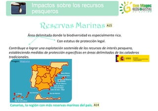 A15


              Área delimitada donde la biodiversidad es especialmente rica.
                                 Con estatus de protección legal.
Contribuye a lograr una explotación sostenida de los recursos de interés pesquero,
estableciendo medidas de protección específicas en áreas delimitadas de los caladeros
tradicionales.
 Imagen: Magrama




Canarias, la región con más reservas marinas del país.   A14
 