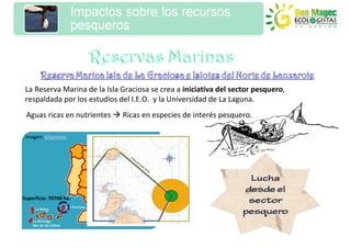 La Reserva Marina de la Isla Graciosa se crea a iniciativa del sector pesquero,
 respaldada por los estudios del I.E.O. y la Universidad de La Laguna.
 Aguas ricas en nutrientes    Ricas en especies de interés pesquero.

 Imagen: Magrama




Superficie: 70700 ha.
 