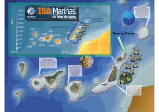 Reserva Marina
 
