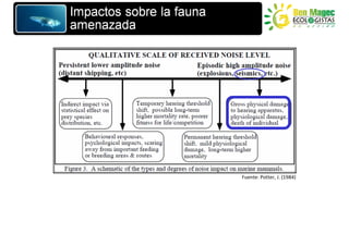 Fuente: Potter, J. (1984)
 