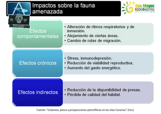 Fuente: “Cetáceos, pesca y prospecciones petrolíferas en las Islas Canarias” (ULL)
 