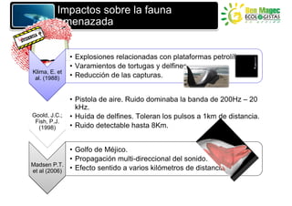 Impactos sobre la fauna
          amenazada


               • Explosiones relacionadas con plataformas petrolíferas.
               • Varamientos de tortugas y delfines.
Klima, E. et
 al. (1988)    • Reducción de las capturas.


               • Pistola de aire. Ruido dominaba la banda de 200Hz – 20
                 kHz.
Goold, J.C.;   • Huída de delfines. Toleran los pulsos a 1km de distancia.
 Fish, P.J.
  (1998)       • Ruido detectable hasta 8Km.


               • Golfo de Méjico.
               • Propagación multi-direccional del sonido.
Madsen P.T.
et al (2006)   • Efecto sentido a varios kilómetros de distancia.
 