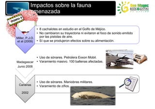 Impactos sobre la fauna
          amenazada

               • 8 cachalotes en estudio en el Golfo de Méjico.
               • No cambiaron su trayectoria ni evitaron el foco de sonido emitido
                 por las pistolas de aire.
Miller, P.J.O.
et al (2009) • Sí que se produjeron efectos sobre su alimentación.




           • Uso de sónares. Petrolera Exxon Mobil.
Madagascar • Varamiento masivo. 100 ballenas afectadas.
Junio 2008




              • Uso de sónares. Maniobras militares.
 Canarias     • Varamiento de zifios.

   2002
 