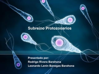 Subreino Protozooarios
Presentado por:
Rodrigo Rivera Barahona
Leonardo Lenin Banegas Barahona
 