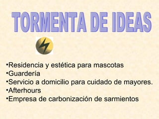 TORMENTA DE IDEAS Residencia y estética para mascotas Guardería Servicio a domicilio para cuidado de mayores. Afterhours Empresa de carbonización de sarmientos 