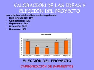 VALORACIÓN DE LAS IDEAS Y ELECCIÓN DEL PROYECTO Los criterios establecidos son los siguientes: Idea innovadora: 10% Competencia: 40% Experiencia: 20% Ubicación: 20 % Recursos: 10% ELECCIÓN DEL PROYECTO CARBONIZACIÓN DE SARMIENTOS 