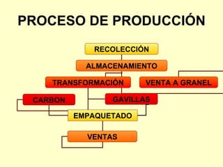 PROCESO DE PRODUCCIÓN RECOLECCIÓN ALMACENAMIENTO TRANSFORMACIÓN VENTA A GRANEL CARBON GAVILLAS EMPAQUETADO VENTAS 