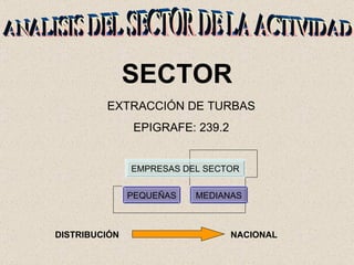 ANALISIS DEL SECTOR DE LA ACTIVIDAD SECTOR EXTRACCIÓN DE TURBAS EPIGRAFE: 239.2 DISTRIBUCIÓN  NACIONAL EMPRESAS DEL SECTOR PEQUEÑAS MEDIANAS 