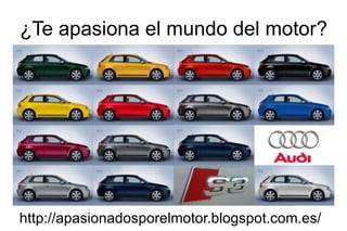 ¿Te apasiona el mundo del motor?




http://apasionadosporelmotor.blogspot.com.es/
 