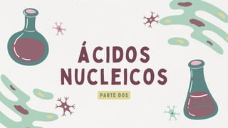 ácidos
nucleicos
PARTE DOS
 