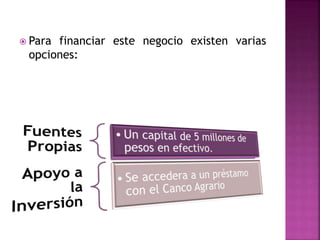  Para financiar este negocio existen varias 
opciones: 
 