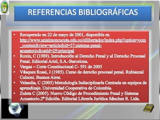 Binder, A. (1993). Introducción al derecho procesal penal. Ad hoc. Buenos Aires.