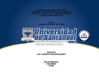 UNIVERSIDAD DE SANTANDER- UDES
PROGRAMA DE INSTRUMENTACIÓN QUIRÚRGICA
PRACTICA Y PROYECTO DE PROFUNDIZACION
CIRUGIA CARDIOVASCULAR
AUTORA
CLAUDIA JOHANNA LOPEZ RUIZ
DOCENTE
LIDY JANNETH HIGUERA IBAÑEZ
BUCARAMANGA
COLOMBIA
2019B
 