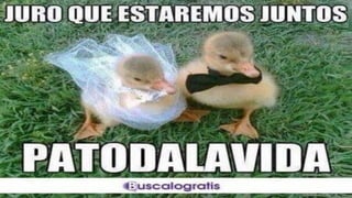 Presentacion Proyecto de Vida