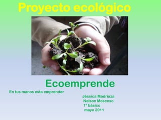 Proyecto ecológico Ecoemprende En tus manos esta emprender JéssicaMadriaza                                                                               Nelson Moscoso                                                                               1º básico                                                                                mayo 2011 