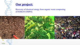 Presentacion proyecto ENERGYCOMPO.pdf