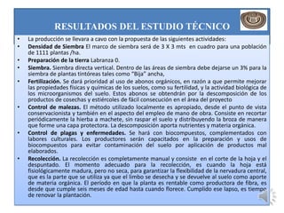 RESULTADOS DEL ESTUDIO TÉCNICO
•   La producción se llevara a cavo con la propuesta de las siguientes actividades:
•   Densidad de Siembra El marco de siembra será de 3 X 3 mts en cuadro para una población
    de 1111 plantas /ha.
•   Preparación de la tierra Labranza 0.
•   Siembra. Siembra directa vertical. Dentro de las áreas de siembra debe dejarse un 3% para la
    siembra de plantas tintóreas tales como “Bija” ancha,
•   Fertilización. Se dará prioridad al uso de abonos orgánicos, en razón a que permite mejorar
    las propiedades físicas y químicas de los suelos, como su fertilidad, y la actividad biológica de
    los microorganismos del suelo. Estos abonos se obtendrán por la descomposición de los
    productos de cosechas y estiércoles de fácil consecución en el área del proyecto
•   Control de malezas. El método utilizado localmente es apropiado, desde el punto de vista
    conservacionista y también en el aspecto del empleo de mano de obra. Consiste en recortar
    periódicamente la hierba a machete, sin raspar el suelo y distribuyendo la broza de manera
    que forme una capa protectora. La descomposición aporta nutrientes y materia orgánica.
•   Control de plagas y enfermedades. Se hará con biocompuestos, complementados con
    labores culturales. Los productores serán capacitados en la preparación y usos de
    biocompuestos para evitar contaminación del suelo por aplicación de productos mal
    elaborados.
•   Recolección. La recolección es completamente manual y consiste en el corte de la hoja y el
    despuntado. El momento adecuado para la recolección, es cuando la hoja está
    fisiológicamente madura, pero no seca, para garantizar la flexibilidad de la nervadura central,
    que es la parte que se utiliza ya que el limbo se desecha y se devuelve al suelo como aporte
    de materia orgánica. El período en que la planta es rentable como productora de fibra, es
    desde que cumple seis meses de edad hasta cuando florece. Cumplido ese lapso, es tiempo
    de renovar la plantación.
 