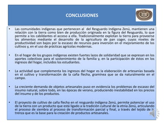 CONCLUSIONES

•   Las comunidades indígenas que pertenecen al del Resguardo Indígena Zenú, mantienen una
    relación con la tierra como bien de producción originada en la figura del Resguardo, lo que
    permite a los cabildantes el acceso a ella. Tradicionalmente explotan la tierra para proveerse
    los alimentos mediante el desarrollo de la agricultura de pan coger, cuyos niveles de
    productividad son bajos por la escasez de recursos para inversión en el mejoramiento de los
    cultivos y, en el uso de prácticas agrícolas modernas.

•   En el hogar de los grupos indígenas existen fuertes lazos de solidaridad que se expresan en los
    aportes colectivos para el sostenimiento de la familia y, en la participación de éstos en los
    ingresos del hogar, incluidos los estudiantes.

•   La actividad que complementa los ingresos del hogar es la elaboración de artesanías basada
    en el cultivo y transformación de la caña flecha, gramínea que se da naturalmente en el
    campo.

•   La creciente demanda de objetos artesanales puso en evidencia los problemas de escasez del
    insumo natural, sobre todo, en las épocas de verano, produciendo inestabilidad en los precios
    del insumo y de los productos.

•   El proyecto de cultivo de caña flecha en el resguardo indígena Zenú, permite potenciar el uso
    de la tierra con un producto que está ligado a la tradición cultural de la etnia Zenú, articulando
    el proceso de siembra al proceso de transformación parcial y final, a través del tejido de la
    trenza que es la base para la creación de productos artesanales.
 