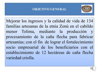 OBJETIVO GENERAL


Mejorar los ingresos y la calidad de vida de 134
familias artesanas de la etnia Zenú en el cabildo
menor Tolima, mediante la producción y
procesamiento de la caña flecha para fabricar
artesanías; con el fin de lograr el fortalecimiento
socio empresarial de los beneficiarios con el
establecimiento de 12 hectáreas de caña flecha
variedad criolla.
 